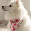 Ollipet Frugt Bandana