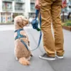 Hundesnoren passer til alle hunde