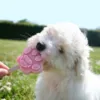 Smoofl hundeis