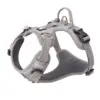 True Love Explosion Proof | Hundesele → Grå