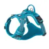 True Love Explosion Proof | Hundesele → Turkis