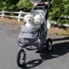 Innopet Buggy Comfort AIR  | God plads