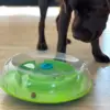 Wobble Bowl | Nina Ottosson | Labradorirma