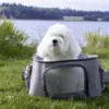 Ollipet Luksus Odysse Pet Box