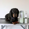 Poterengøring Mousse | Dogman