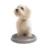 Balancepude til hundefitness
