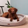 Amiplay Oval Hundeseng | Sand