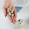 Frysetørret Snacks med Lam