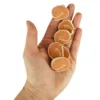 Companion Chicken Sushi 500g