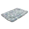 Ollipet Wellness Madras