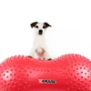 Physio Tactile Peanut