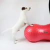 Physio Tactile Peanut