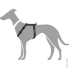 London Vario Rapid Hundesele