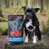 CORE Adult Ocean | Medium/Large Breed