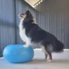 Ollipet DogFit Air - Balance Donut