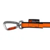 Non-Stop Dogwear Bungee Leash 2.0