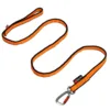 Non-Stop Dogwear Bungee Leash 2.0