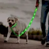 Hundesnor med LED-lys | Genopladelig. Sikre ekstrem synlighed. Halsbånd er ikke inkluderet.