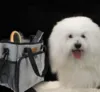 Ollipet Groomingtaske