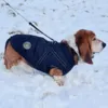 hundejakke m. fleecefór er det perfekte overgangs- og vintertøj til Basset hunde