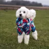 Ollipet Ponjo Raincoat | Koda bruger str. 34 cm
