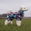 Ollipet Ponjo Raincoat | Koda bruger str. 34 cm