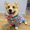 Ollipet Ponjo Raincoat | Max bruger str. 45 cm