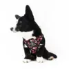 Ollipet City Lux Hundesele