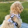 Ollipet City Lux Hundesele | Olli Paws/Dots