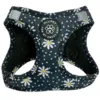 Ollipet margueritter Sele