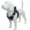 Ollipet margueritter Sele