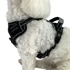 Ollipet Adventure hundesele med god pasform