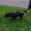 Ollipet VI TRÆNER Skilt og Oswald