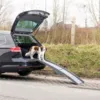 Sammenklappelig Rampe