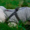 Ollipet Sirius Explorer Vinterdækken til hunde med indbygget sele