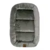 Ollipet Kaya Wellness Madras