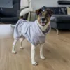 Tørredækken fra Ollipet i str. 40 cm på hund.