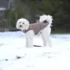 Ollipet Outdor Fleece er har en rigtig god pasform