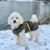 Ollipet Hunting Outdoor Vinterdækken
