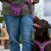 Dog Copenhagen Go Explore™ Godbidstaske gør gåturen med hunden meget mere overskuelig