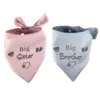 Ollipet "Big brother/sister" Bandana