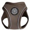 Ollipet For Wagging Tails | Mokka