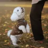 Her med Ollipet hundesweater under selen