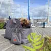 Alex som er en lille Yorkshire Terrier nyder livet i sin dejlige hundetaske