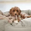 Nordic Paws Fiona | Oval Hundeseng