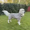 Ollipet regndragt til Golden Retriver i str. 3XL med 3/4 lange ben