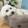 Sally som er en voksen Coton De Tulear hygger sig i Ollipet Six Star Str 50 x 50 x 20 cm grå