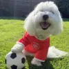 Danmarks fodboldstrøje til hunde. Sjovt, sødt og komfortabelt. Skyd foodboldsæsonen i gang med manér