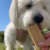 Lækker hundeis til de varme dage
