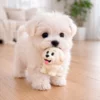 Ollipet NaturLatex Happy Puppy Ollie